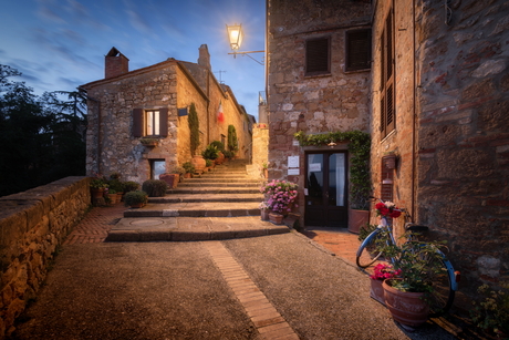Tuscan Nights