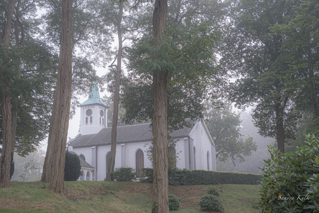 In de mist