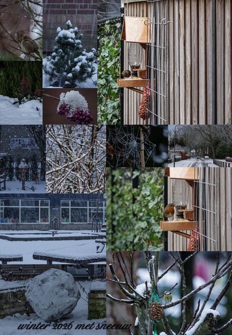 mijn winter collage