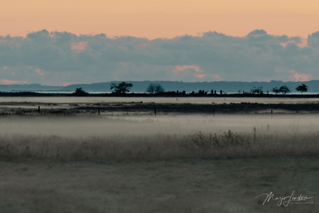 Zonsopkomst met nevel