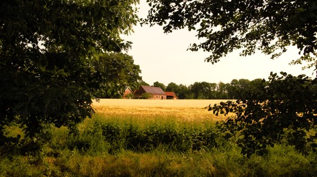 Bauernhof