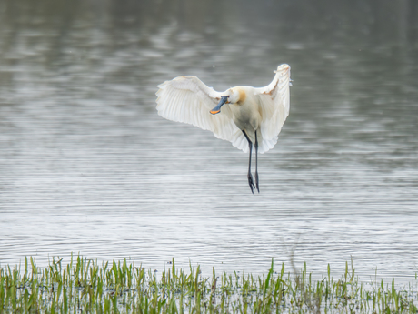 Soft Parachute Landing 