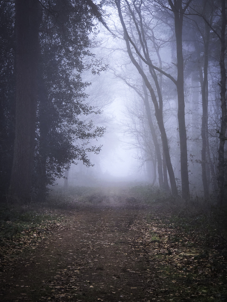 De mistige dagen van december 2025 V