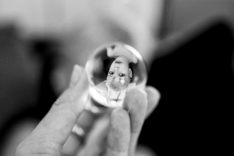 Thema fotochallenge: Ondersteboven