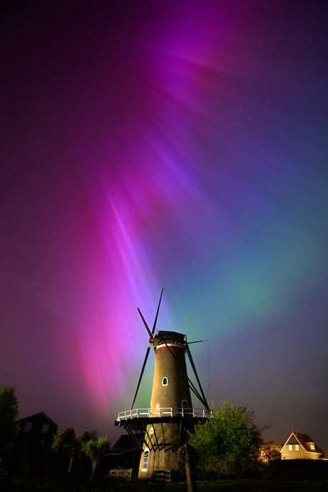 Magical colours of the Aurora
