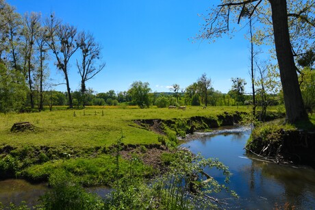 Lente in Epen