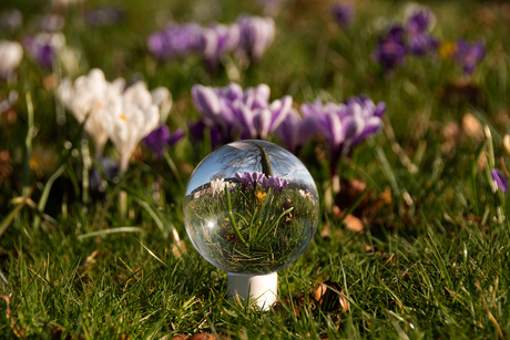 Lensball