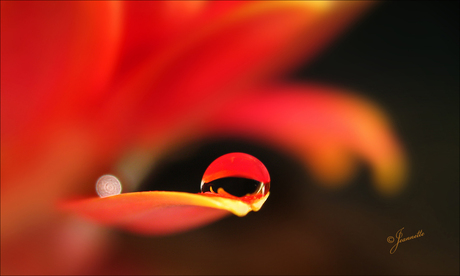 Lichtbolletje in foto.