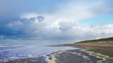 Texel