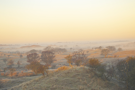 Zonsopkomst in de AWD