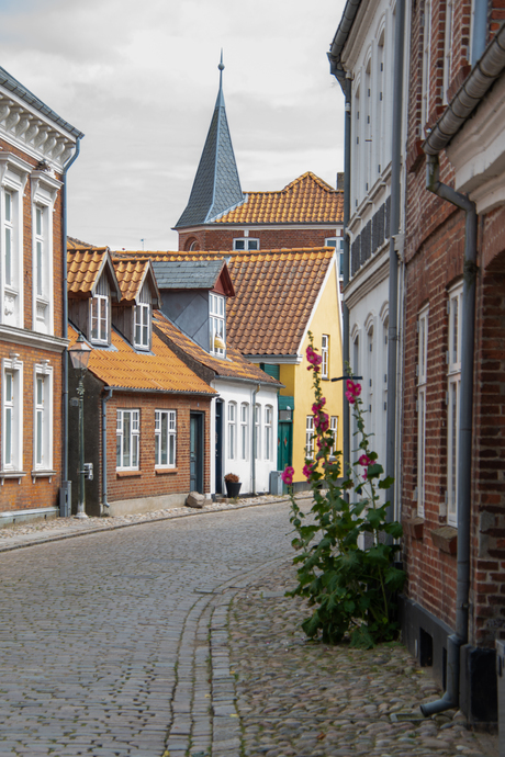 Ribe (Denemarken)