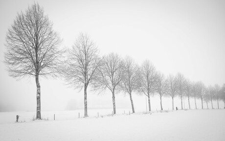 Winters landschap