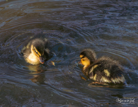 𝑺𝒑𝒓𝒊𝒏𝒈 𝒊𝒔 𝒊𝒏 𝒕𝒉𝒆 𝒂𝒊𝒓