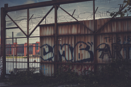 Behind the fence