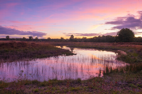 zonsondergang op de heide