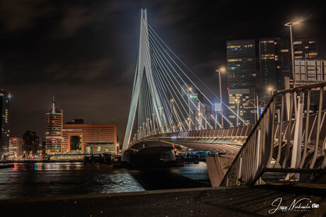 Erasmusbrug Rotterdam 
