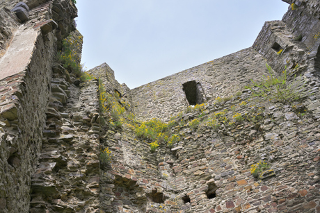 Löwenburg